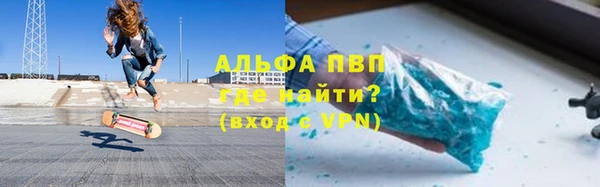 трава Няндома