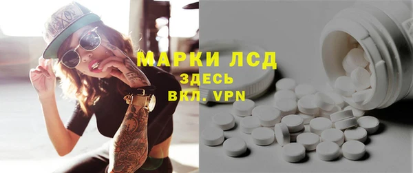 шишки Нязепетровск