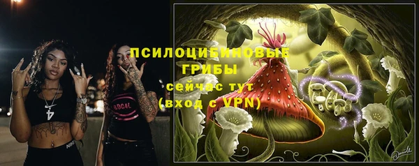 гидропоника Богданович