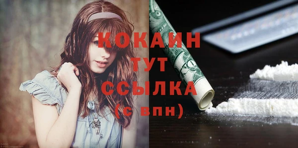 трава Няндома